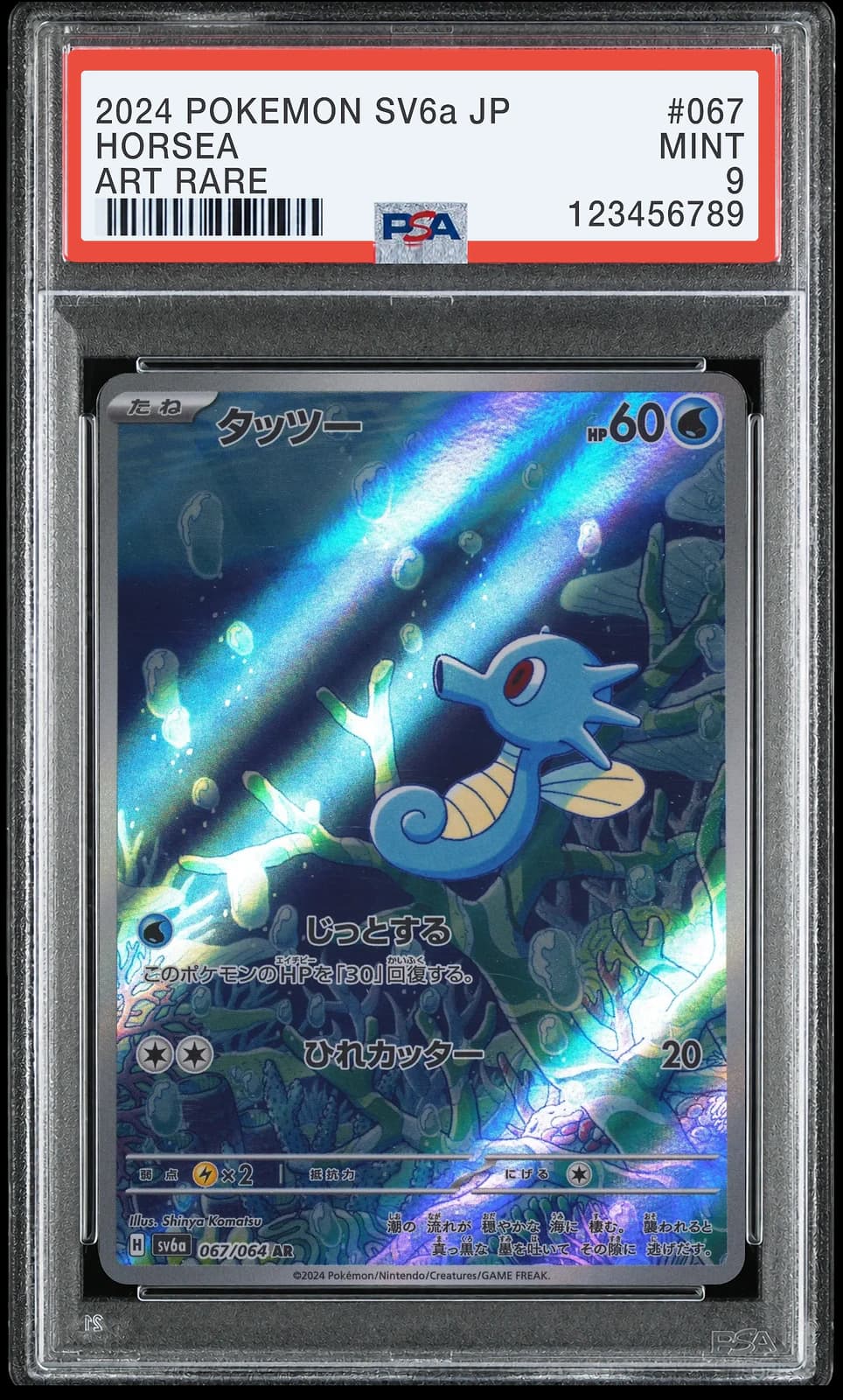 포켓몬 TCG 쏘드라 AR 나이트원더러