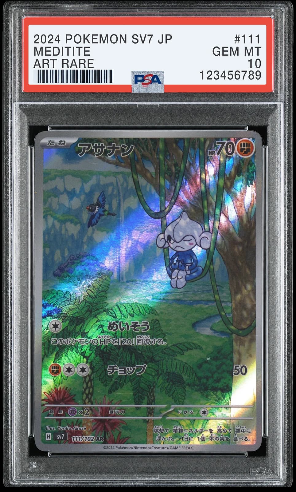 포켓몬 TCG 요가랑 AR 스텔라미라클