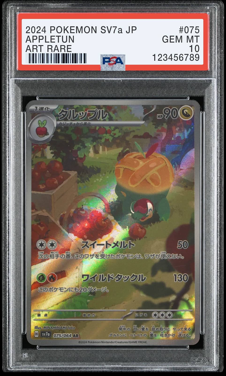 단지래플 AR [SV7a 075/064] (낙원드래고나)