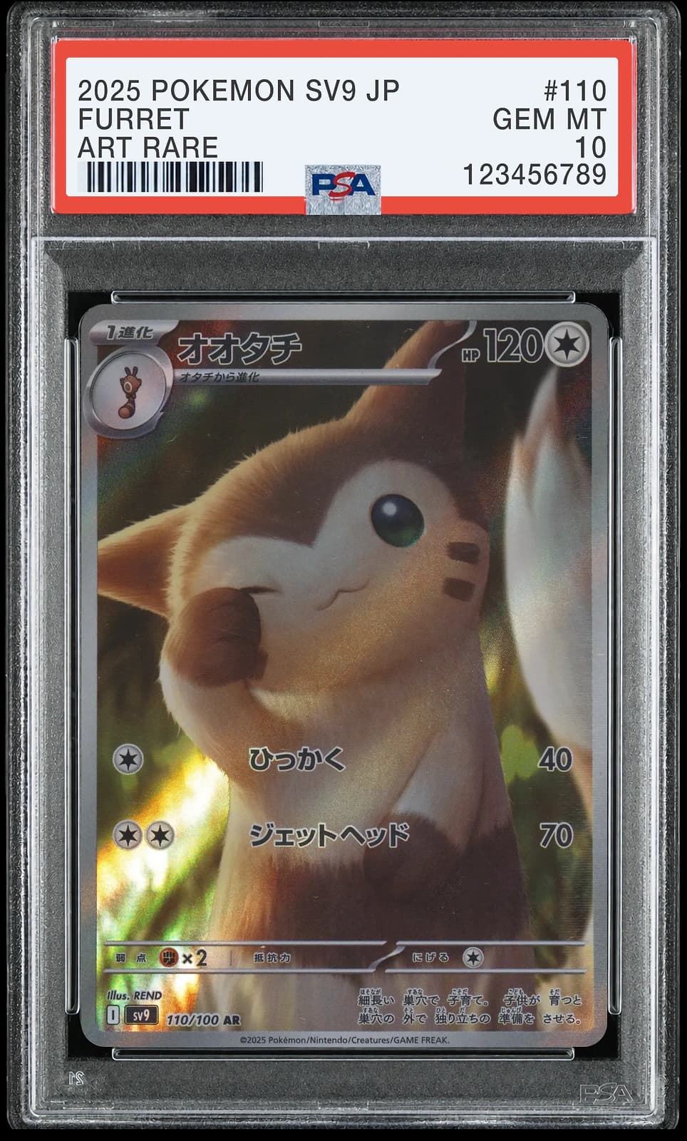 포켓몬 TCG 다꼬리 AR 배틀 파트너즈
