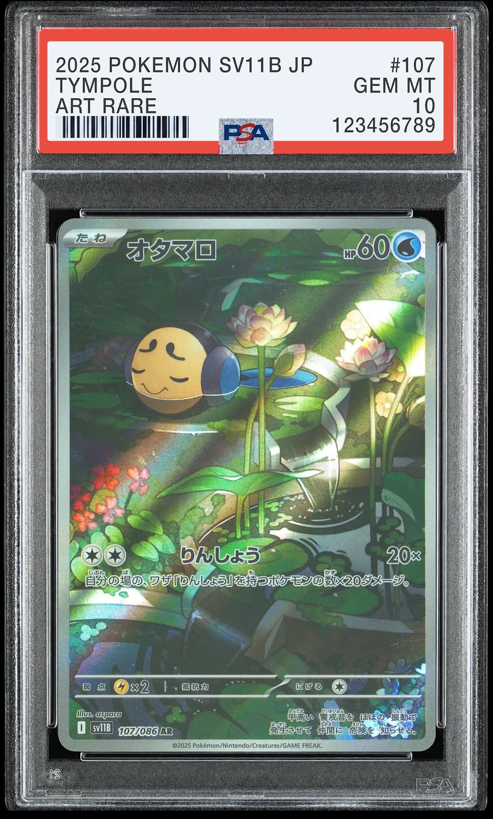 포켓몬 TCG 동챙이 AR 블랙 볼트