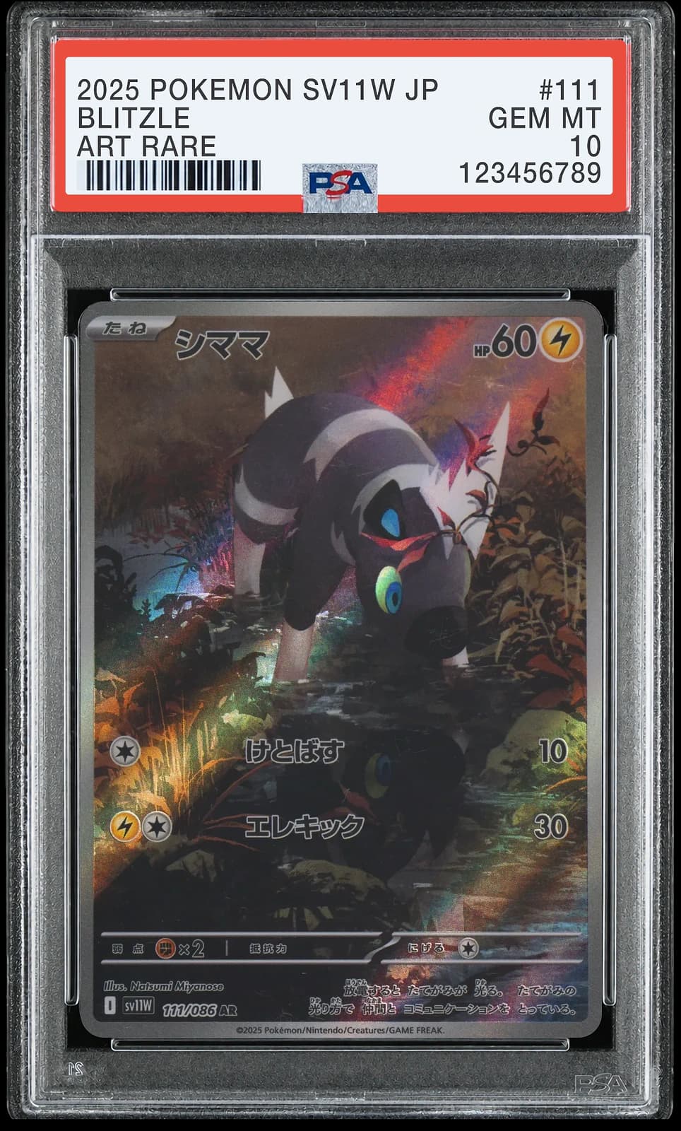 포켓몬 TCG 줄뮤마 AR 화이트 플레어
