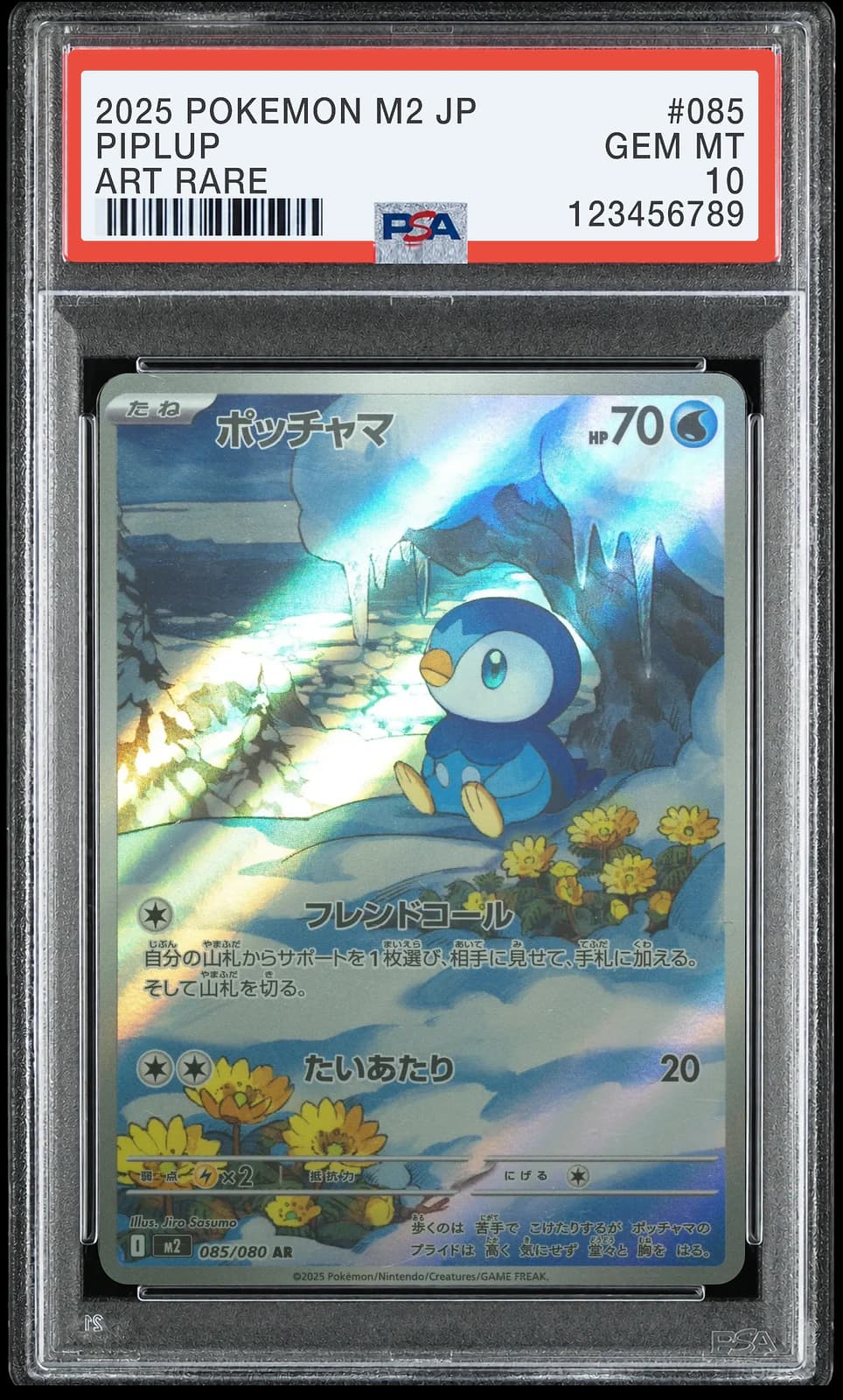 팽도리 AR [M2 085/080] (인페르노 X)