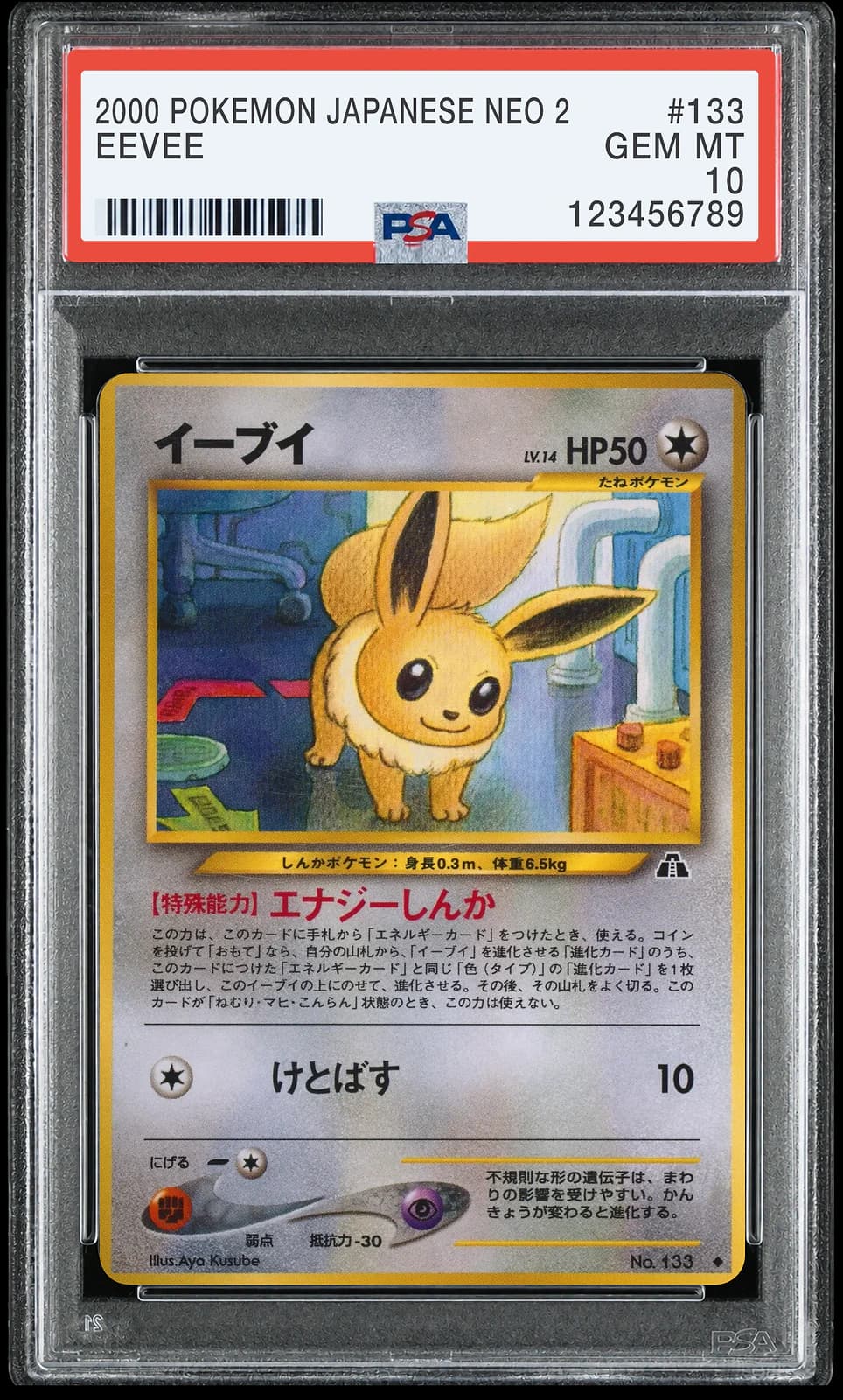 포켓몬 TCG 이브이 U 크로싱 더 루인