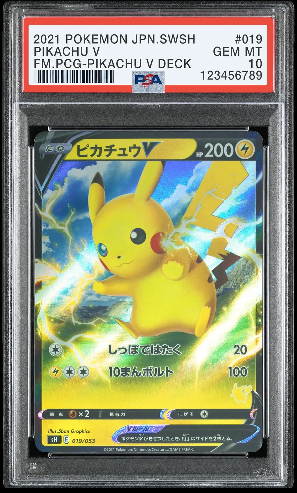 피카츄 V [19] (Sword & Shield Family Pokemon Card Game)